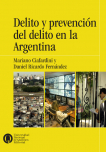 Delito y prevención del delito en la Argentina
